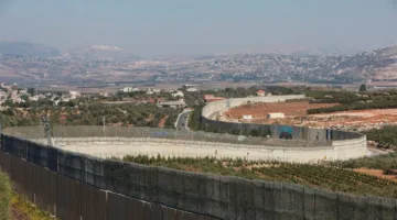 فيديو: الجنوب يحرّر البلاد!