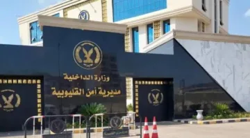 تفاصيل جديدة في حادثة اعتداء على الطفل “مارسيلينو” من شبرا الخيمة