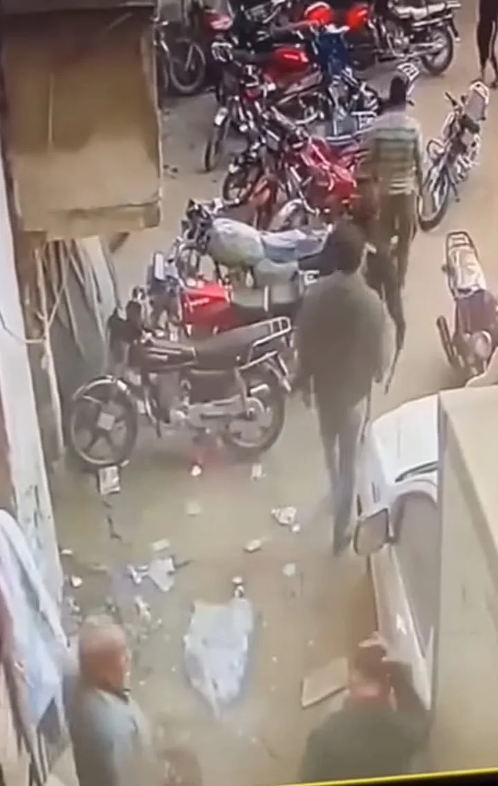 فيديو لشخص يهاجم شاباً بسلاح أبيض يثير جدلاً واسعاً.. والأمن يحقق في الحادثة فيديو لشخص يهاجم شاباً بسلاح أبيض يثير جدلاً واسعاً.. والأمن يحقق في الحادثة