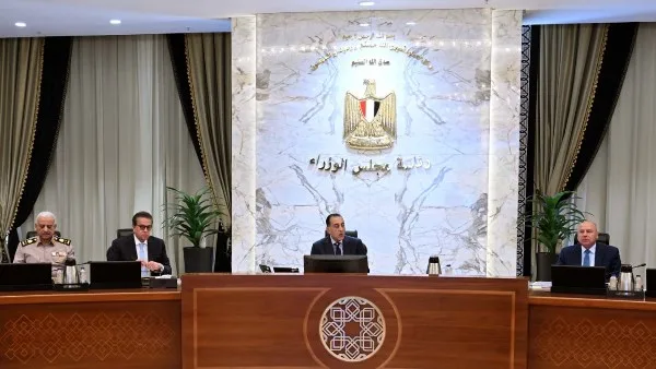 قرار مهم من الحكومة بشأن الكلاب الخطرة قرار مهم من الحكومة بشأن الكلاب الخطرة