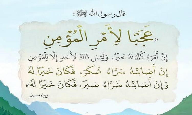 قضاء الله تعالى كله خير قضاء الله تعالى كله خير