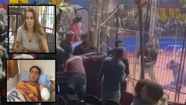قضية عامل سيرك طنطا: أنوسة كوته تكشف خلال التحقيقات: حذرت الموظفين من الاقتراب من القفص | تقرير خاص قضية عامل سيرك طنطا: أنوسة كوته تكشف خلال التحقيقات: حذرت الموظفين من الاقتراب من القفص | تقرير خاص