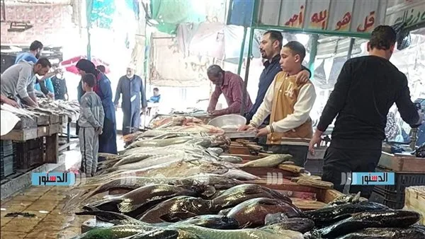قفزة في أسعار الأسماك والمأكولات البحرية في السويس.. اعرف سعر كل نوع قفزة في أسعار الأسماك والمأكولات البحرية في السويس.. اعرف سعر كل نوع