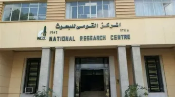 قومي البحوث: الشاي يدعم الوظائف المعرفية خلال الدراسة والامتحانات