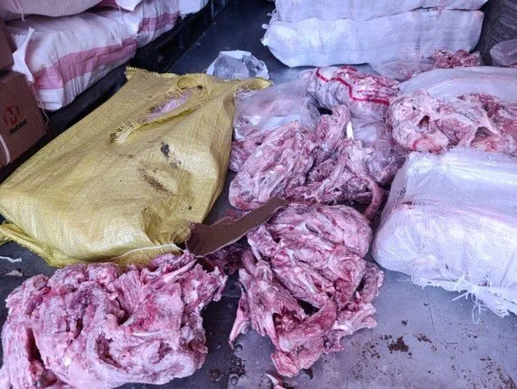 كارثة بالخانكة.. ضبط 10 أطنان هياكل دواجن مجهولة المصدر داخل مصنع لحوم كارثة بالخانكة.. ضبط 10 أطنان هياكل دواجن مجهولة المصدر داخل مصنع لحوم