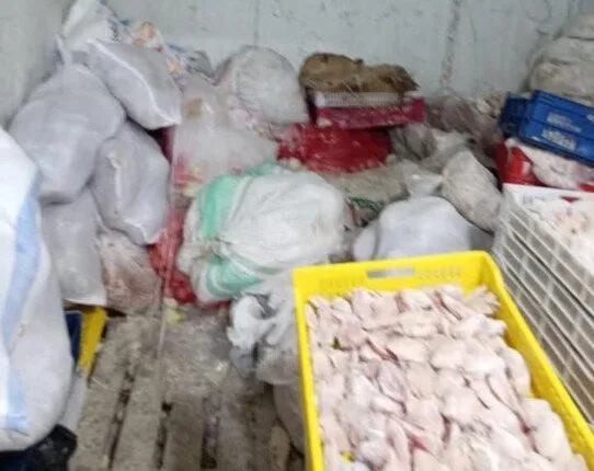 كارثة غذائية بالقليوبية.. ضبط 12 طن دواجن فاسدة تُعاد تدويرها وبيعها للمواطنين كارثة غذائية بالقليوبية.. ضبط 12 طن دواجن فاسدة تُعاد تدويرها وبيعها للمواطنين