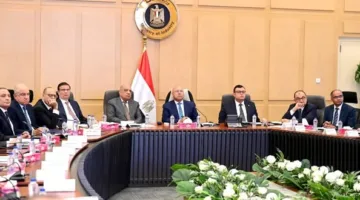 كامل الوزير: توافق أعضاء المجموعة الوزارية على المعايير الجديدة لحساب حوافز تصنيع السيارات