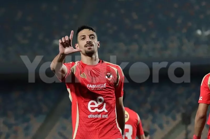كسر مصيدة التسلل.. طاهر محمد يسجل هدفًا مبكرًا للأهلي (فيديو) كسر مصيدة التسلل.. طاهر محمد يسجل هدفًا مبكرًا للأهلي (فيديو)