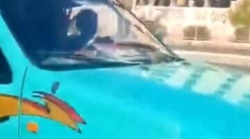 كشف ملابسات مقطع فيديو يظهر طفلا يقود سيارة ربع نقل برعونة بالقاهرة