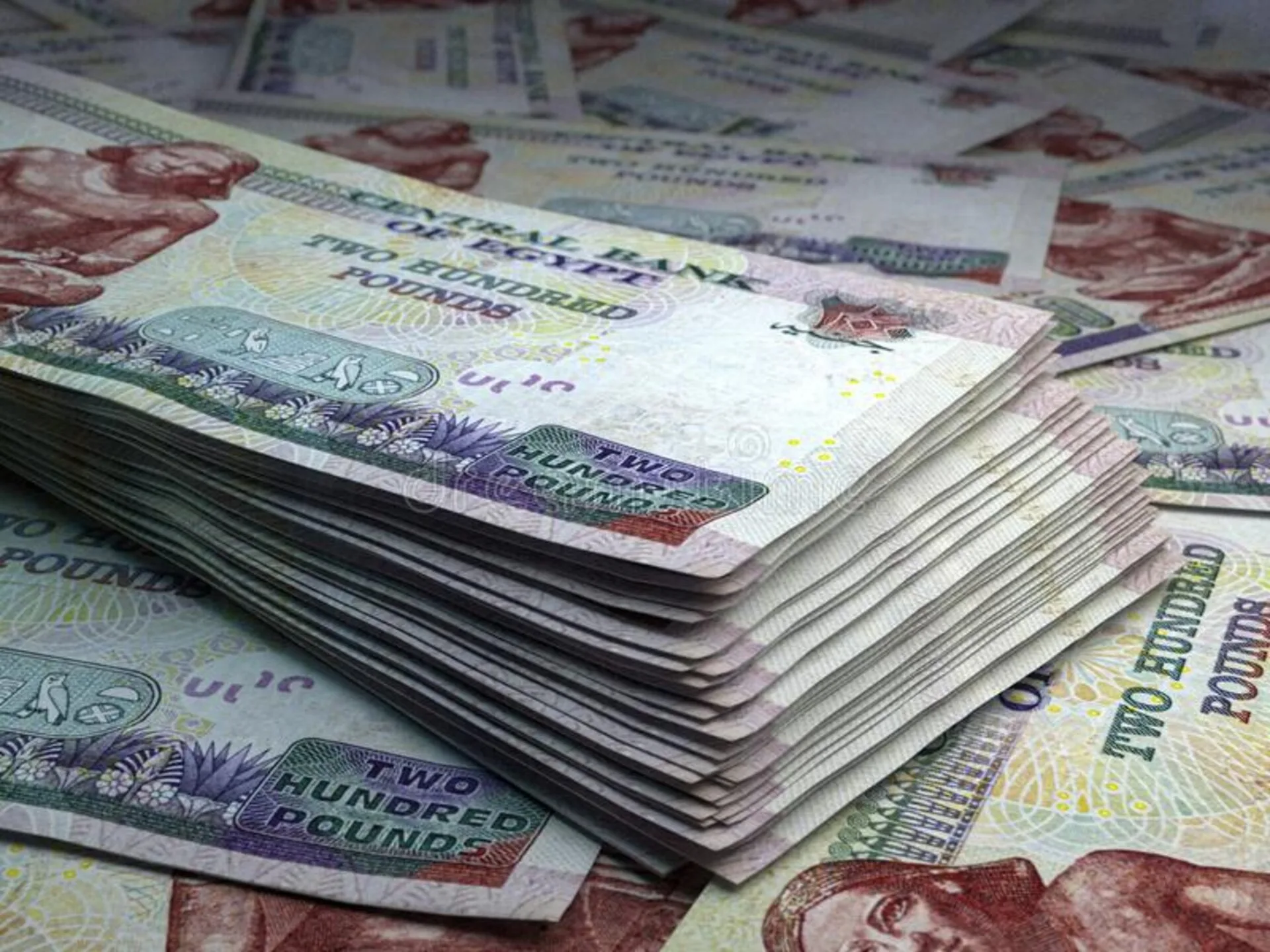 تراجع الفائدة يؤثر على وتيرة الاستثمارات غير المباشرة في أدوات الدين
