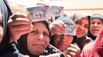 كيفية الاستعلام عن الأسماء الجديدة في تكافل وكرامة 2025 باستخدام الرقم القومي بسهولة