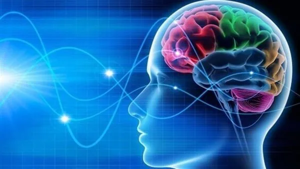 كيفية التعرف على ارتجاج الدماغ في الوقت المناسب كيفية التعرف على ارتجاج الدماغ في الوقت المناسب