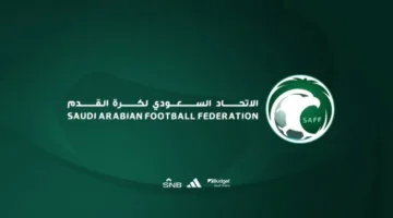 لجنة الاحتراف: التسجيل الاستثنائي سيبدأ من 1 إلى 10 يونيو 2025