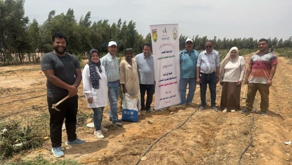 لسد الفجوة الغذائية.. حقول إرشادية لزراعة عباد الشمس الزيتى بجنوب سيناء لسد الفجوة الغذائية.. حقول إرشادية لزراعة عباد الشمس الزيتى بجنوب سيناء