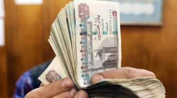 لـ الاستعلام عن منحة العمالة غير المنتظمة بالرقم القومي 2025.. اتبع هذه الخطوات