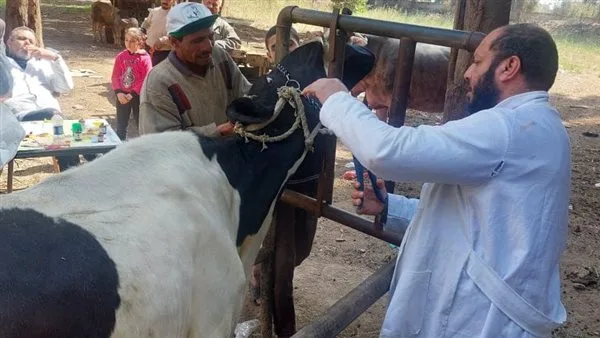 لمدة 3 أيام.. قافلة بيطرية مجانية بقريتي هو وبهجورة في قنا لمدة 3 أيام.. قافلة بيطرية مجانية بقريتي هو وبهجورة في قنا