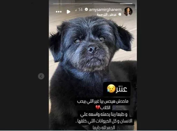 «لن يشعر أحد بوجعي».. إيمي سمير غانم تعرب عن حزنها لهذا السبب «لن يشعر أحد بوجعي».. إيمي سمير غانم تعرب عن حزنها لهذا السبب