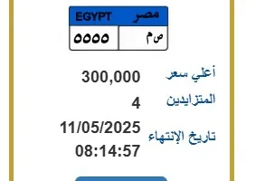 لوحة سيارة مميزة يصل سعرها لـ 300 ألف جنيه