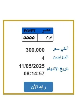 لوحة سيارة مميزة يصل سعرها لـ 300 ألف جنيه لوحة سيارة مميزة يصل سعرها لـ 300 ألف جنيه