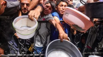 ما نوع المساعدات التي وصلت إلى غزة، وما هو مسارها؟