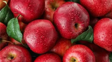 ما هو السلاح الطبيعي لمحاربة الشيخوخة وتقليل خطر الخرف؟.. تعرف على مصادره الغذائية