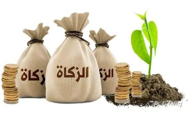 ماذا يُفعل عند دفع مبلغ زائد عن الزكاة المستحقة؟ ماذا يُفعل عند دفع مبلغ زائد عن الزكاة المستحقة؟