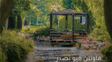 ماونتن ڤيو تؤكد التزامها بأفضل ممارسات الاستدامة والحوكمة البيئية والاجتماعية لدعم تحقيق رؤية مصر 2030