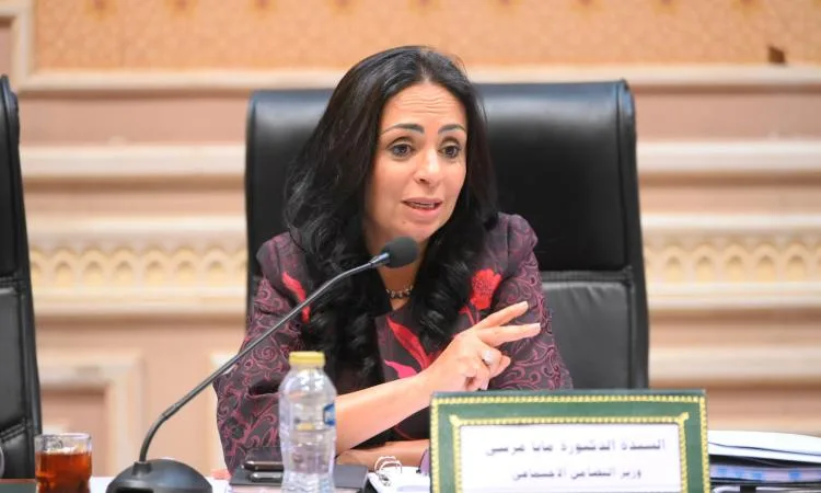 مايا مرسي تشارك باجتماع لجنة التضامن الاجتماعي بمجلس النواب مايا مرسي تشارك باجتماع لجنة التضامن الاجتماعي بمجلس النواب