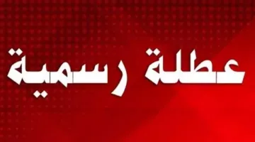 متى ت

بدأت عطلات يونيو 2025؟ جدول العطلات الرسمية للموظفين في مصر.