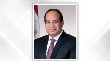 الرئيس السيسي يشدد على أهمية الت هدئة العاجلة في غزة وتوزيع المساعدات الإنسانية.