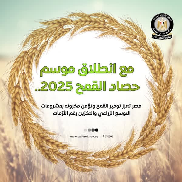 مجلس الوزراء يستعرض جهود الدولة لتعزيز الإنتاج المحلي من القمح وتأمين مخزونه مجلس الوزراء يستعرض جهود الدولة لتعزيز الإنتاج المحلي من القمح وتأمين مخزونه