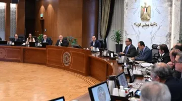 مجلس الوزراء يوافق على تحويل أراضٍ في مدينة أكتوبر الجديدة لإنشاء منطقة حرة ومجمع صناعي لتجميع السيارات.