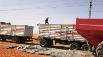 محافظ أسوان توريد 158 ألفًا و676 طنا من القمح بالصوامع والشون والبناكر داخل وخارج المحافظة 