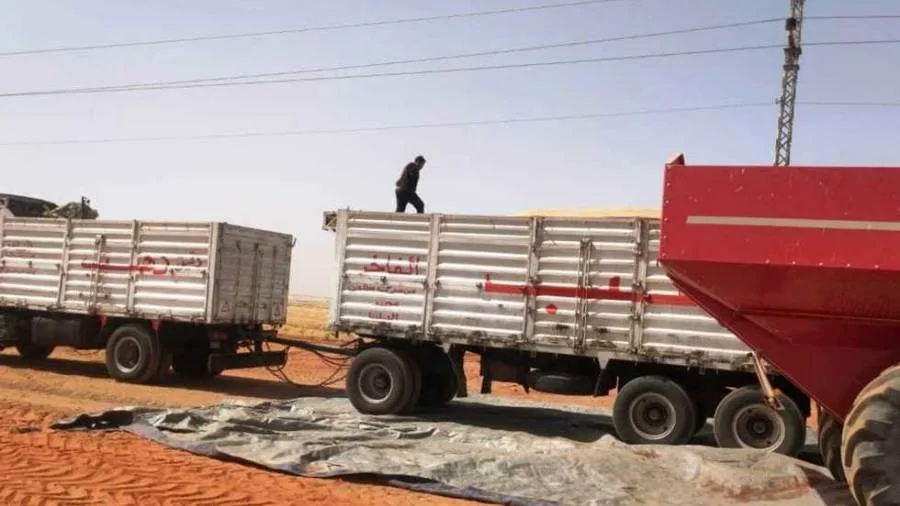 محافظ أسوان توريد 158 ألفًا و676 طنا من القمح بالصوامع والشون والبناكر داخل وخارج المحافظة محافظ أسوان توريد 158 ألفًا و676 طنا من القمح بالصوامع والشون والبناكر داخل وخارج المحافظة
