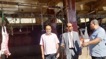 محافظ أسوان يكلف بتحقيق الجاهزية الكاملة داخل 13 مجزرا لذبح لحوم الأضاحي
