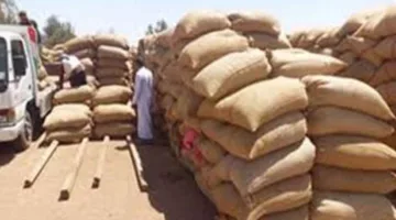 محافظ الإسماعيلية يعلن زيادة كمية القمح المحلي الموردة لموسم 2025 لتتجاوز 28 ألف طن حتى الآن.