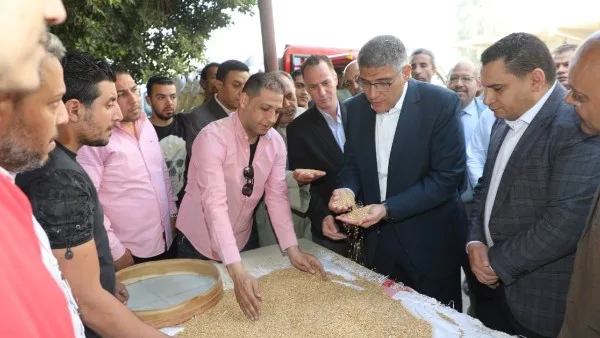 محافظ الجيزة: توريد 44 ألف طن قمح بالصوامع والشون حتى الآن محافظ الجيزة: توريد 44 ألف طن قمح بالصوامع والشون حتى الآن