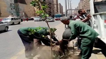 محافظ الجيزة: رفع ١٥٠ طن مخلفات في حملات نظافة مكبرة