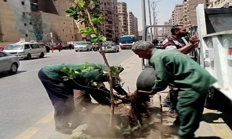 محافظ الجيزة: رفع ١٥٠ طن مخلفات في حملات نظافة مكبرة محافظ الجيزة: رفع ١٥٠ طن مخلفات في حملات نظافة مكبرة