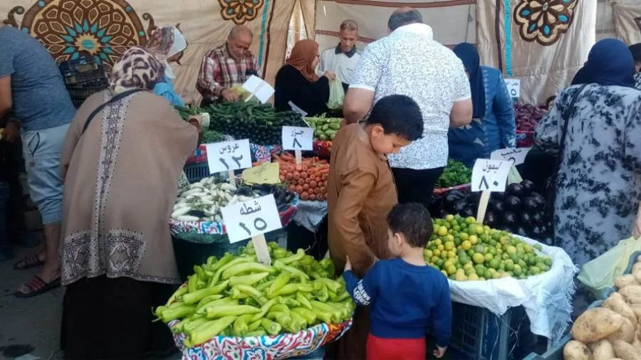 محافظ الدقهلية: استمرار إقامة أسواق اليوم الواحد بأسعار منافسة اليوم وغدًا محافظ الدقهلية: استمرار إقامة أسواق اليوم الواحد بأسعار منافسة اليوم وغدًا