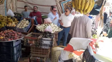 محافظ الدقهلية يتابع الالتزام بالأسعار في منافذ البيع وسوق اليوم الواحد