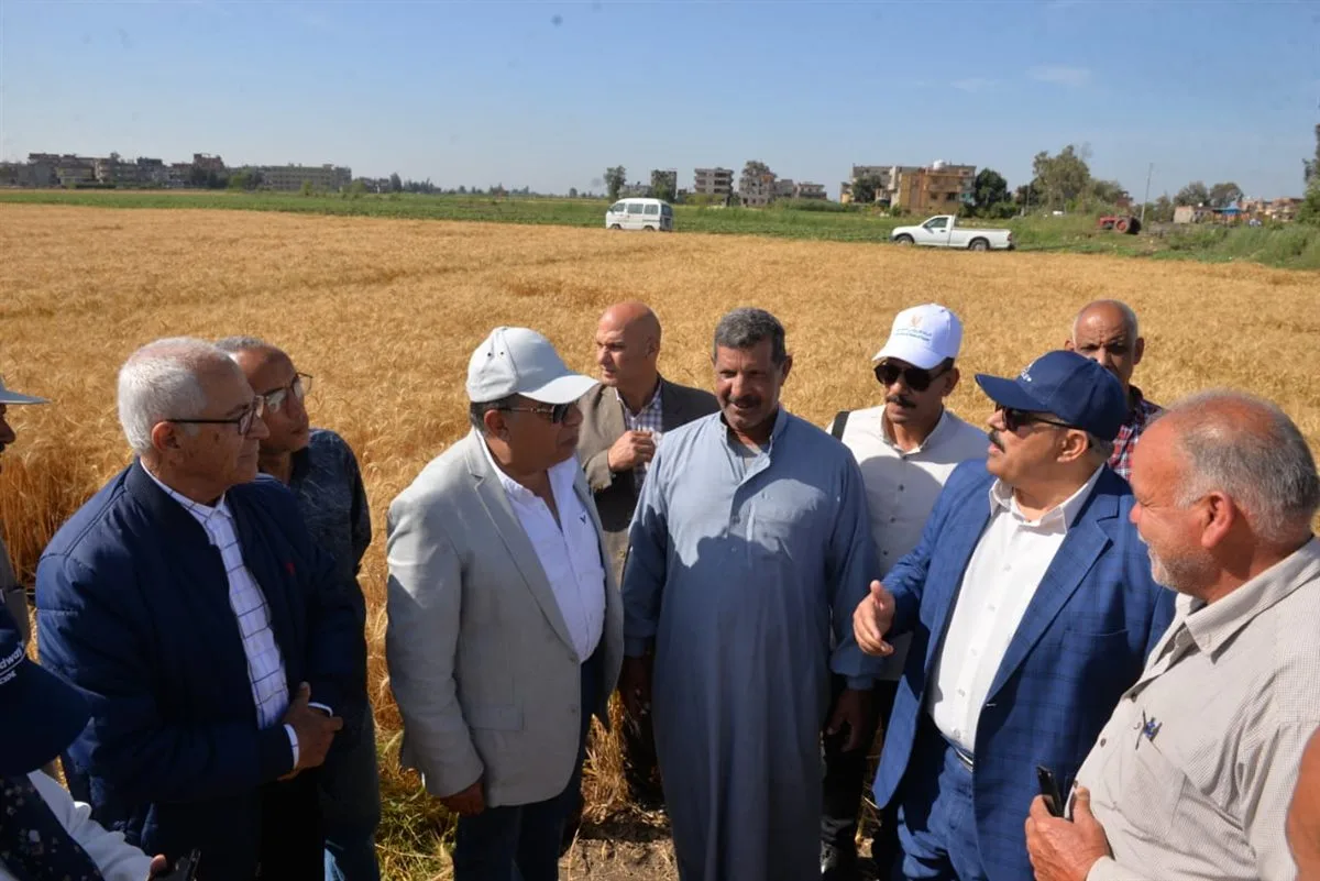 محافظ الدقهلية يلتقي المزارعين وسط حقول القمح محافظ الدقهلية يلتقي المزارعين وسط حقول القمح