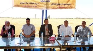 محافظ السويس يفتتح موسم حصاد القمح بقرية الشلوفة