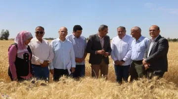 محافظ السويس يفتتح موسم حصاد القمح من قرية الشلوفة بالقطاع الريفي بالجناين