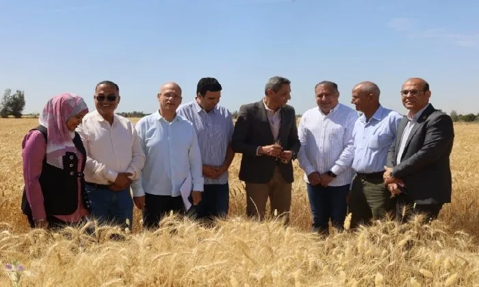 محافظ السويس يفتتح موسم حصاد القمح من قرية الشلوفة بالقطاع الريفي بالجناين محافظ السويس يفتتح موسم حصاد القمح من قرية الشلوفة بالقطاع الريفي بالجناين