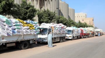 محافظ الشرقية: ضرورة التحقق من جودة الأقماح الموردة ومراقبة حالة التخزين