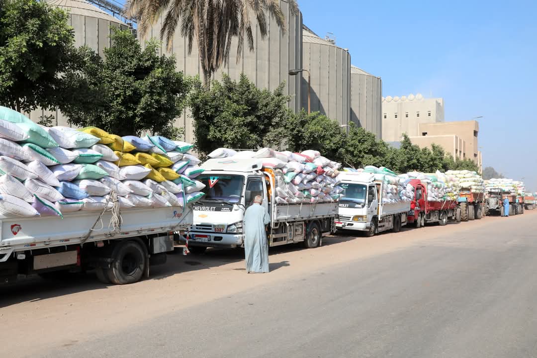 محافظ الشرقية: ضرورة التحقق من جودة الأقماح الموردة ومراقبة حالة التخزين محافظ الشرقية: ضرورة التحقق من جودة الأقماح الموردة ومراقبة حالة التخزين
