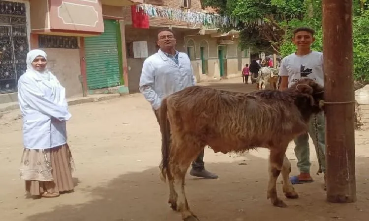 محافظ الفيوم يتابع جهود وأنشطة مديرية الطب البيطري خلال شهر أبريل الماضي محافظ الفيوم يتابع جهود وأنشطة مديرية الطب البيطري خلال شهر أبريل الماضي