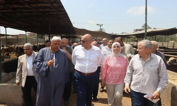 محافظ القليوبية يزور مزرعة لتربية الماشية في قرية العمار