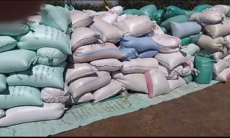 محافظ المنوفية: ضبط 15 طن من القمح و30 طن من الأسمدة المدعومة المحظورة من التداول محافظ المنوفية: ضبط 15 طن من القمح و30 طن من الأسمدة المدعومة المحظورة من التداول